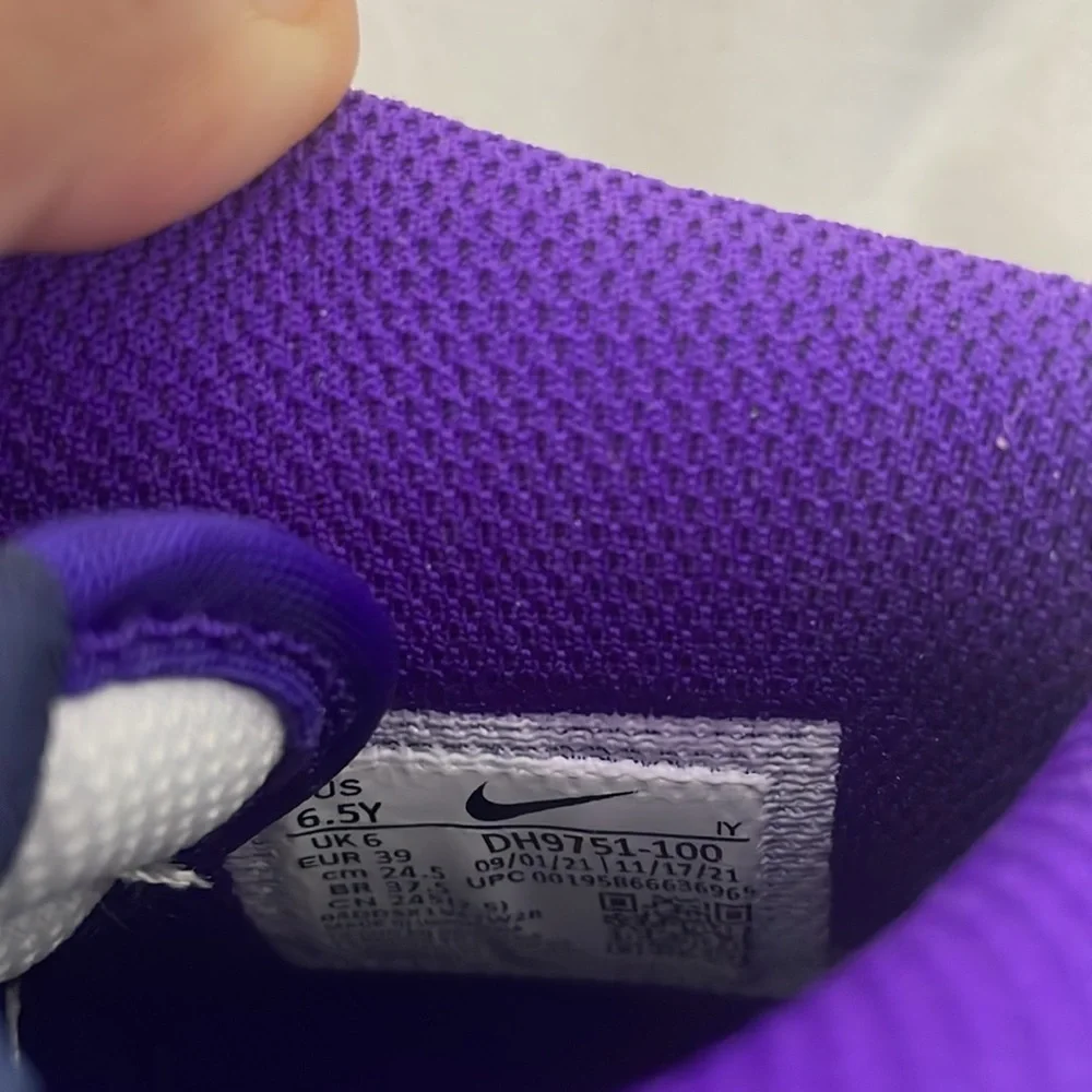 Nike Youth Dunk High Electro Purple NIB